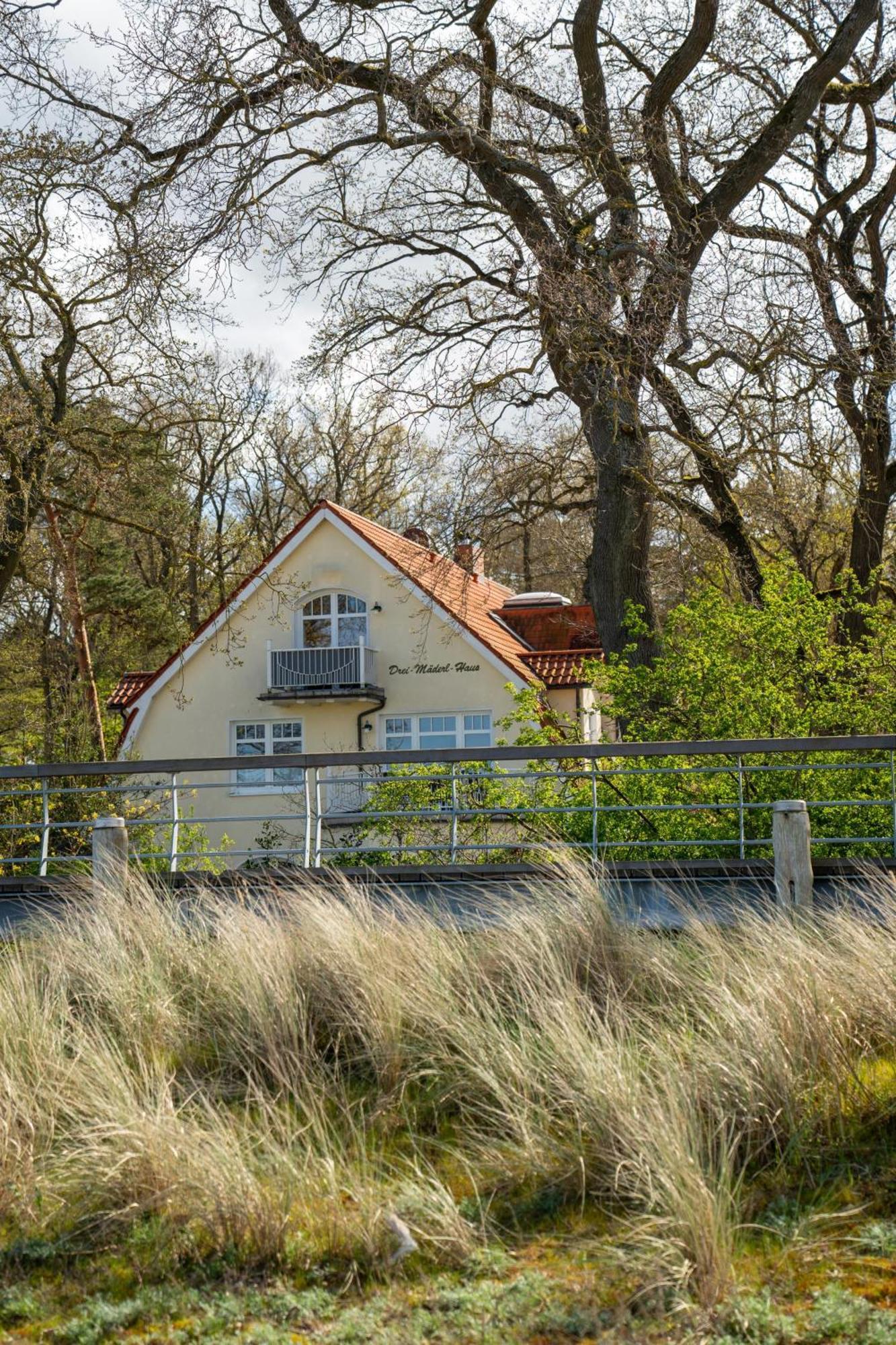 Strandvilla Drei Maederl Haus Boltenhagen  Exterior photo